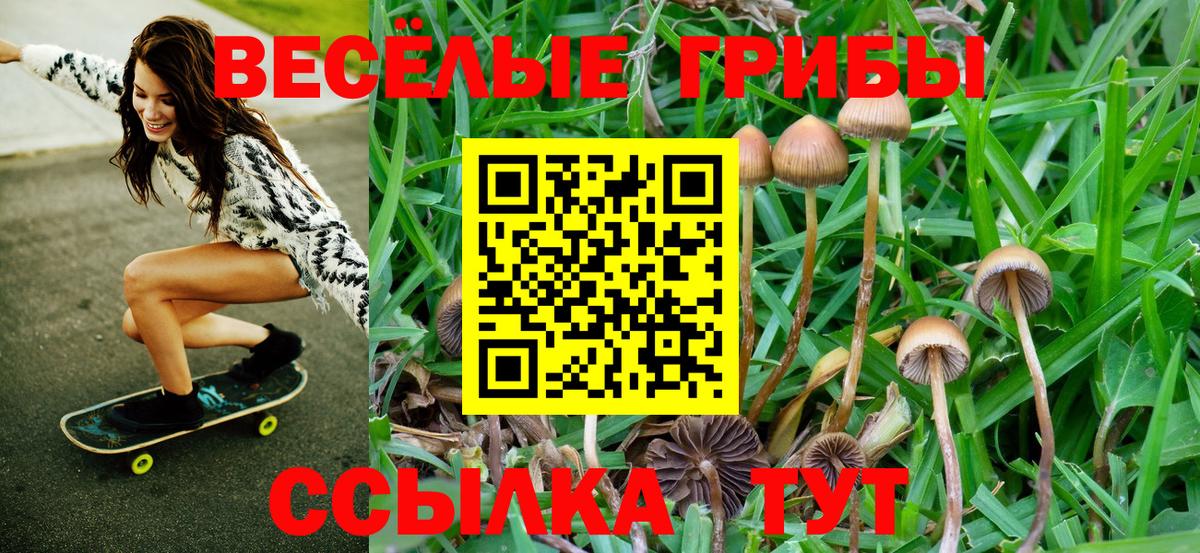 Галлюциногенные грибы MAGIC MUSHROOMS  как найти   Мценск  Вход с VPN 